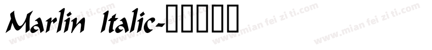 Marlin Italic字体转换